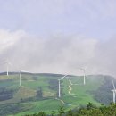 구름속의산책 이미지