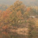 안양판교로 이미지