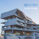 (주)엘리스테이 이미지