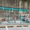 태양 후렘 이미지