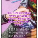 루첼라리아 이미지