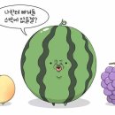 과일사랑 - 수성구 상화로 35 | 과일사랑
