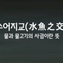 수어지교 이미지