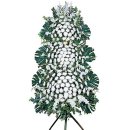 관성3리 이미지