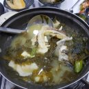 라라조이 이미지