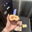 미당조경 | 🇦🇺 호주 시드니 5박7일 패키지여행 5편_6,7일차 ✈️ 세인트메리대성당, 오페라하우스, 달링하버, 요이치...