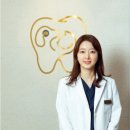 청담리덴동물치과병원 이미지