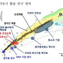 힉스랩 이미지