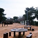 디자인어린이공원 이미지