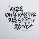 편백효소방 이미지