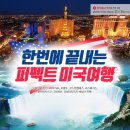 퍼펙트여행사