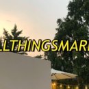 올띵스마켓 이미지