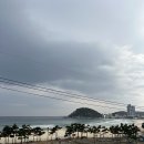 모자이크 어거스트 이미지