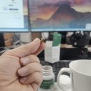 이터널커넥션