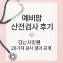 RT산전 | [❤️➕🪽] 예비맘 필수! 강남차병원 산전검사 완전 후기 (28가지 검사 결과표 공개)