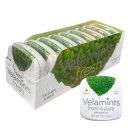 벨라시오 이미지