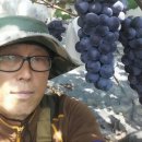 윤석농장 이미지