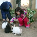 상면농장 이미지