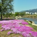 삼락카 이미지