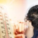 마산역신통의원 이미지