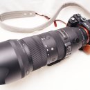 시그마 sports 70-200os 캐논마운트 with sony a7r3