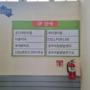 창원 셀포랩 라헨느 후기 셀포랩다이어트