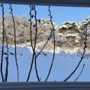 안해님농장 이미지