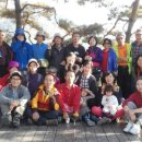 솔뫼유기농업영농조합법인 이미지