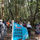 신례초등학교 | [걸어서서귀포한바퀴] 9월 28일 남원읍 신례리 신례초숲길 후기