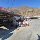 이제, 단양 | 단양 고수동굴 후기｜아이 동반 관람팁·소요시간·미끄럼주의 솔직 정리