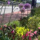 경동의료기상사 용두점 이미지