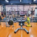 바나나휘트니스 이미지