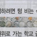 식판나라 이미지