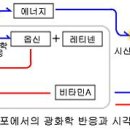 춘천밝은안과의원 이미지