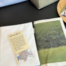 하이메 스테이 이미지