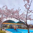 마동-04 | [경주] 용천수 카라반캠핑장 명당 추천 _ 벚꽃캠핑 _ C-4번자리 후기