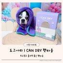 아띠 펫 | 도그아띠 강아지 펫타올 흡수력 좋은 강아지 목욕타올
