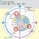 진주모사 이미지