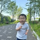 모담산 유아숲체험원 이미지