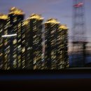 강변유원지길 이미지