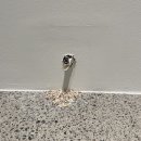라이언의보물섬 이미지