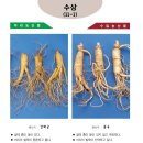 만성농산물
