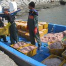 황청포구로 이미지