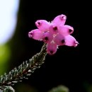 삽재농장 이미지