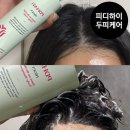 피디헤어 | 피디하이 탈모방지 두피샴푸 두피토닉