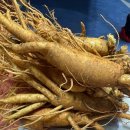 성일저울 | 인삼주담그는법 경동시장 가서 구입까지 후기