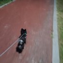 풍마모터스 이미지