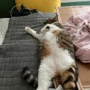 e편한집 이미지