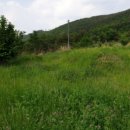 용전 보건진료소 이미지