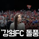 강원 FC 이사 장지현 위원이 말하는 강원 FC 돌풍 이미지